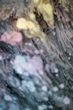 Petri - resimde modern bir teknik, epoksiye alkollü mürekkep ekleyerek yaratılır. Sertleştikten sonra mürekkep damlaları sertleşir ve alg, karamel resifleri ve deniz yatağı gibi görünür..