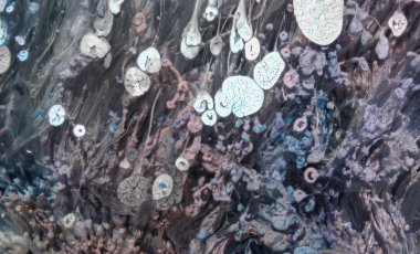 Petri - resimde modern bir teknik, epoksiye alkollü mürekkep ekleyerek yaratılır. Sertleştikten sonra mürekkep damlaları sertleşir ve alg, karamel resifleri ve deniz yatağı gibi görünür..