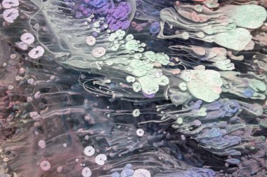 Petri - resimde modern bir teknik, epoksiye alkollü mürekkep ekleyerek yaratılır. Sertleştikten sonra mürekkep damlaları sertleşir ve alg, karamel resifleri ve deniz yatağı gibi görünür..