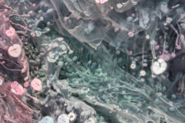 Petri - resimde modern bir teknik, epoksiye alkollü mürekkep ekleyerek yaratılır. Sertleştikten sonra mürekkep damlaları sertleşir ve alg, karamel resifleri ve deniz yatağı gibi görünür..