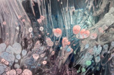 Petri - resimde modern bir teknik, epoksiye alkollü mürekkep ekleyerek yaratılır. Sertleştikten sonra mürekkep damlaları sertleşir ve alg, karamel resifleri ve deniz yatağı gibi görünür..