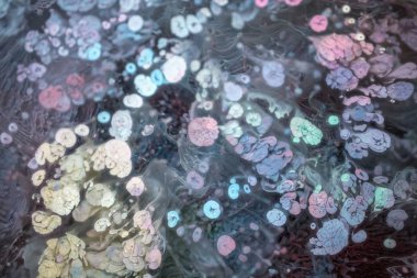 Nefes nefese kalmanın en küçük detayının makro fotoğrafçılığı. Nefes nefese kalmaları gölgelerin ve boyaların renginin uzay motiflerine ne kadar benzediğini gösteriyor..