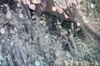 Nefes nefese kalmanın en küçük detayının makro fotoğrafçılığı. Nefes nefese kalmaları gölgelerin ve boyaların renginin uzay motiflerine ne kadar benzediğini gösteriyor..