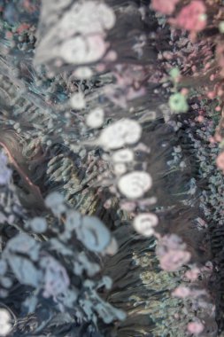 Petri sanatı - resimde modern bir teknik, epoksiye alkollü mürekkep ekleyerek yaratılır. Sertleştikten sonra mürekkep damlaları sertleşir ve alg, karamel resifleri ve deniz yatağı gibi görünür..