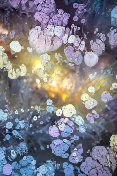 Petri - resimde modern bir teknik, epoksiye alkollü mürekkep ekleyerek yaratılır. Sertleştikten sonra mürekkep damlaları sertleşir ve alg, karamel resifleri ve deniz yatağı gibi görünür..