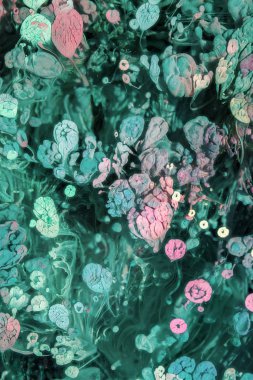 Petri sanatı - resimde modern bir teknik, epoksiye alkollü mürekkep ekleyerek yaratılır. Sertleştikten sonra mürekkep damlaları sertleşir ve alg, karamel resifleri ve deniz yatağı gibi görünür..