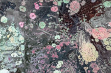 Petri sanatı - resimde modern bir teknik, epoksiye alkollü mürekkep ekleyerek yaratılır. Sertleştikten sonra mürekkep damlaları sertleşir ve alg, karamel resifleri ve deniz yatağı gibi görünür..