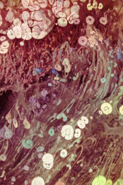 Petri sanatı - resimde modern bir teknik, epoksiye alkollü mürekkep ekleyerek yaratılır. Sertleştikten sonra mürekkep damlaları sertleşir ve alg, karamel resifleri ve deniz yatağı gibi görünür..