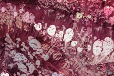 Petri sanatı - resimde modern bir teknik, epoksiye alkollü mürekkep ekleyerek yaratılır. Sertleştikten sonra mürekkep damlaları sertleşir ve alg, karamel resifleri ve deniz yatağı gibi görünür..