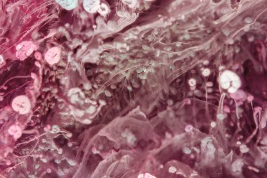 Petri sanatı - resimde modern bir teknik, epoksiye alkollü mürekkep ekleyerek yaratılır. Sertleştikten sonra mürekkep damlaları sertleşir ve alg, karamel resifleri ve deniz yatağı gibi görünür..