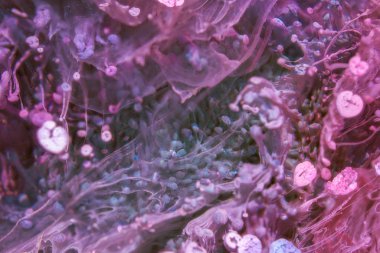 Nefes nefese kalmanın en küçük detayının makro fotoğrafçılığı. Nefes nefese kalmaları gölgelerin ve boyaların renginin uzay motiflerine ne kadar benzediğini gösteriyor..