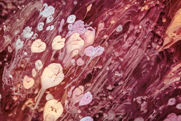 페트리 Petri Art 에폭시에 잉크를 함으로써 만들어 현대적 기법이다 캐러멜 — 스톡 사진