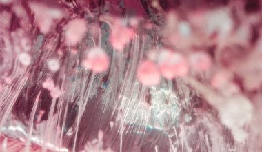 Petri sanatı - resimde modern bir teknik, epoksiye alkollü mürekkep ekleyerek yaratılır. Artistik parlak sıçrama. Sıvı sanat eseri. Mor mermer doku. Soyut sanat geçmişi. Çok renkli parlak bir doku. Sofistike illüstrasyon.