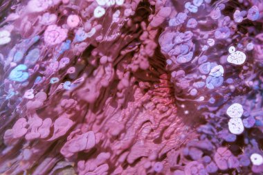 Petri sanatı - resimde modern bir teknik, epoksiye alkollü mürekkep ekleyerek yaratılır. Artistik parlak sıçrama. Sıvı sanat eseri. Mor mermer doku. Soyut sanat geçmişi. Çok renkli parlak bir doku. Sofistike illüstrasyon.