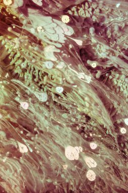 Petri sanatı - resimde modern bir teknik, epoksiye alkollü mürekkep ekleyerek yaratılır. Artistik parlak sıçrama. Sıvı sanat eseri. Mor mermer doku. Soyut sanat geçmişi. Çok renkli parlak bir doku. Sofistike illüstrasyon.