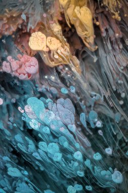 Petri sanatı - resimde modern bir teknik, epoksiye alkollü mürekkep ekleyerek yaratılır. Artistik parlak sıçrama. Sıvı sanat eseri. Mor mermer doku. Soyut sanat geçmişi. Çok renkli parlak bir doku. Sofistike illüstrasyon.