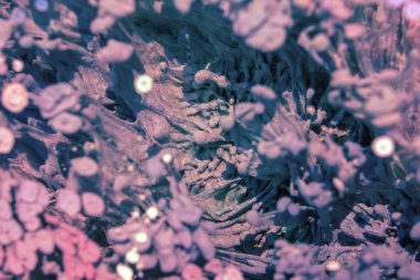 Petri sanatı - resimde modern bir teknik, epoksiye alkollü mürekkep ekleyerek yaratılır. Sertleştikten sonra mürekkep damlaları sertleşir ve alg, karamel resifleri ve deniz yatağı gibi görünür..