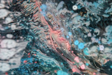 Petri sanatı - resimde modern bir teknik, epoksiye alkollü mürekkep ekleyerek yaratılır. Sertleştikten sonra mürekkep damlaları sertleşir ve alg, karamel resifleri ve deniz yatağı gibi görünür..