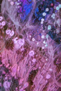 Petri sanatı - resimde modern bir teknik, epoksiye alkollü mürekkep ekleyerek yaratılır. Sertleştikten sonra mürekkep damlaları sertleşir ve alg, karamel resifleri ve deniz yatağı gibi görünür..