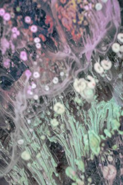 Petri sanatı - resimde modern bir teknik, epoksiye alkollü mürekkep ekleyerek yaratılır. Sertleştikten sonra mürekkep damlaları sertleşir ve alg, karamel resifleri ve deniz yatağı gibi görünür..