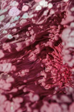 Petri sanatı - resimde modern bir teknik, epoksiye alkollü mürekkep ekleyerek yaratılır. Sertleştikten sonra mürekkep damlaları sertleşir ve alg, karamel resifleri ve deniz yatağı gibi görünür..