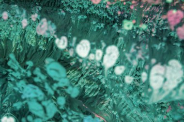 Petri sanatı - resimde modern bir teknik, epoksiye alkollü mürekkep ekleyerek yaratılır. Sertleştikten sonra mürekkep damlaları sertleşir ve alg, karamel resifleri ve deniz yatağı gibi görünür..