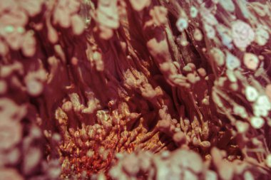 Petri sanatı - resimde modern bir teknik, epoksiye alkollü mürekkep ekleyerek yaratılır. Sertleştikten sonra mürekkep damlaları sertleşir ve alg, karamel resifleri ve deniz yatağı gibi görünür..