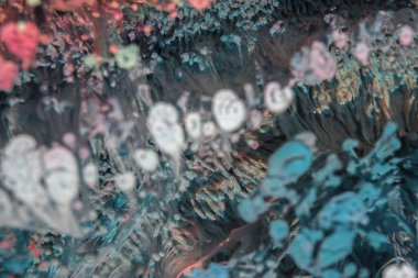 Petri sanatı - resimde modern bir teknik, epoksiye alkollü mürekkep ekleyerek yaratılır. Sertleştikten sonra mürekkep damlaları sertleşir ve alg, karamel resifleri ve deniz yatağı gibi görünür..