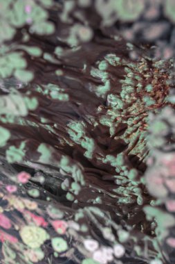 Petri sanatı - resimde modern bir teknik, epoksiye alkollü mürekkep ekleyerek yaratılır. Sertleştikten sonra mürekkep damlaları sertleşir ve alg, karamel resifleri ve deniz yatağı gibi görünür..