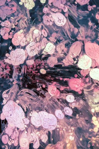 Petri艺术 Petri Art 现代绘画技术 是通过在环氧树脂中添加酒精油墨而产生的 艺术灿烂的飞溅 液体艺术品 紫色大理石质地 抽象的艺术背景 五彩缤纷的明亮质感 — 图库照片