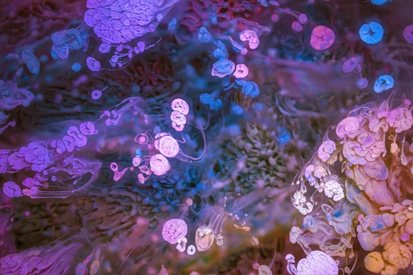 페트리 Petri Art 에폭시에 잉크를 함으로써 만들어 현대적 기법이다 예술적 — 스톡 사진