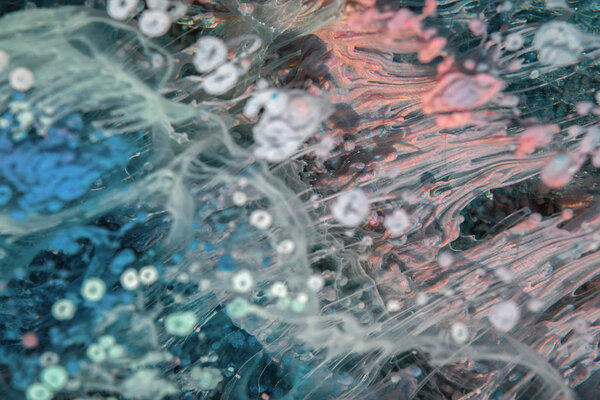 Петри-арт - современная техника в живописи, созданная добавлением алкогольных чернил к эпоксидной смоле. После закалки капли чернил затвердевают и выглядят как сплетение водорослей, карамельных рифов и морского дна.
.