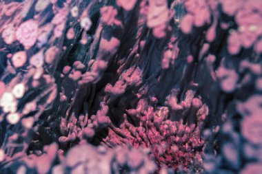 Petri sanatı - resimde modern bir teknik, epoksiye alkollü mürekkep ekleyerek yaratılır. Sertleştikten sonra mürekkep damlaları sertleşir ve alg, karamel resifleri ve deniz yatağı gibi görünür..