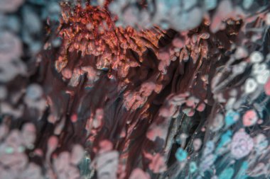 Petri sanatı - resimde modern bir teknik, epoksiye alkollü mürekkep ekleyerek yaratılır. Sertleştikten sonra mürekkep damlaları sertleşir ve alg, karamel resifleri ve deniz yatağı gibi görünür..