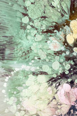 Petri sanatı - resimde modern bir teknik, epoksiye alkollü mürekkep ekleyerek yaratılır. Sertleştikten sonra mürekkep damlaları sertleşir ve alg, karamel resifleri ve deniz yatağı gibi görünür..