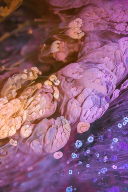 Petri sanatı - resimde modern bir teknik, epoksiye alkollü mürekkep ekleyerek yaratılır. Sertleştikten sonra mürekkep damlaları sertleşir ve alg, karamel resifleri ve deniz yatağı gibi görünür..