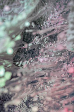 Petri sanatı - resimde modern bir teknik, epoksiye alkollü mürekkep ekleyerek yaratılır. Sertleştikten sonra mürekkep damlaları sertleşir ve alg, karamel resifleri ve deniz yatağı gibi görünür..