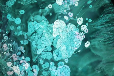 Petri sanatı - resimde modern bir teknik, epoksiye alkollü mürekkep ekleyerek yaratılır. Sertleştikten sonra mürekkep damlaları sertleşir ve alg, karamel resifleri ve deniz yatağı gibi görünür..