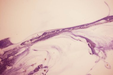 Mermer. Mermer dokusu. Boya sıçraması. Renkli sıvı. Soyut renkli arkaplan. Raster illüstrasyonu. Renkli soyut resim arkaplanı. Yüksek desenli yağlı boya. Yüksek kaliteli detaylar.