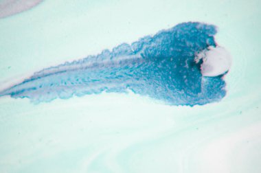 Mermer. Mermer dokusu. Boya sıçraması. Renkli sıvı. Soyut renkli arkaplan. Raster illüstrasyonu. Renkli soyut resim arkaplanı. Yüksek desenli yağlı boya. Yüksek kaliteli detaylar.