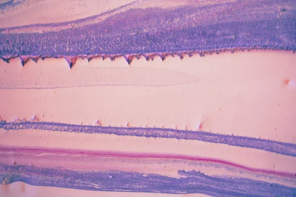 Marbling Textura Marmură Vopsea Stropită Lichid Colorat Fundal Abstract Colorat — Fotografie, imagine de stoc
