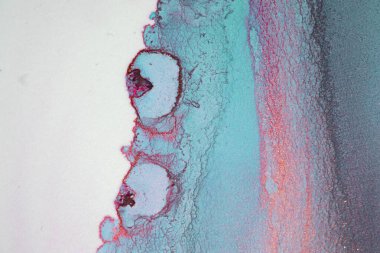 Mermer. Mermer dokusu. Boya sıçraması. Renkli sıvı. Soyut renkli arkaplan. Raster illüstrasyonu. Renkli soyut resim arkaplanı. Yüksek desenli yağlı boya. Yüksek kaliteli detaylar.