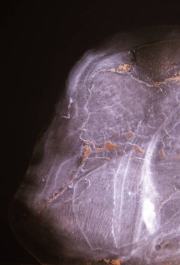 Mermer. Mermer dokusu. Boya sıçraması. Renkli sıvı. Soyut renkli arkaplan. Raster illüstrasyonu. Renkli soyut resim arkaplanı. Yüksek desenli yağlı boya. Yüksek kaliteli detaylar.