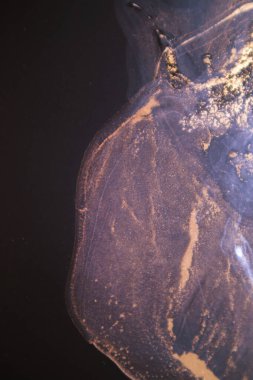 Mermer. Mermer dokusu. Boya sıçraması. Renkli sıvı. Soyut renkli arkaplan. Raster illüstrasyonu. Renkli soyut resim arkaplanı. Yüksek desenli yağlı boya. Yüksek kaliteli detaylar.