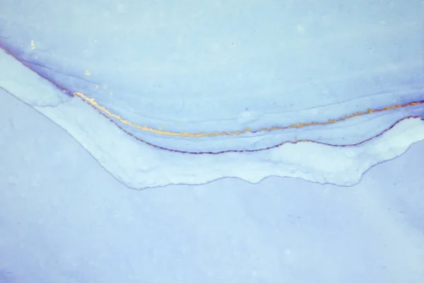 Marbling Textura Marmură Vopsea Stropită Lichid Colorat Fundal Abstract Colorat — Fotografie, imagine de stoc