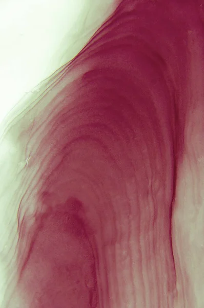 マーブルだ 大理石の質感 ペイントスプラッシュ カラフルな流体 抽象的な色背景 ラスターイラスト カラフルな抽象画の背景 質感の高い油絵具 高品質の詳細 — ストック写真