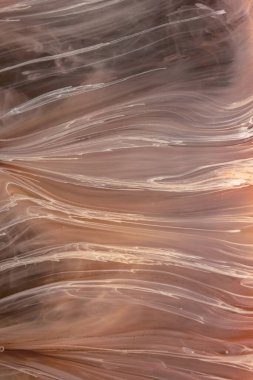 Petri sanatı - resimde modern bir teknik, epoksiye alkollü mürekkep ekleyerek yaratılır. Sertleştikten sonra mürekkep damlaları sertleşir ve alg, karamel resifleri ve deniz yatağı gibi görünür..