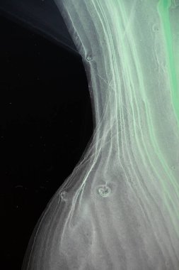 Mavi, pembe, yeşil, mor, kırmızı, kırmızı, sarı, siyah bir arka plan. Orijinal alkol mürekkebi resminin bir parçası. Modern sanat. Soyut renkli arka plan, duvar kağıdı. Mermer dokusu. Modern afişler için Sıvı Sanat, ruhani grafik tasarımı.