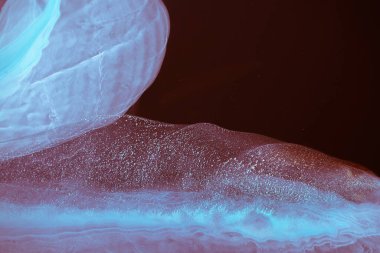 Mavi, pembe, yeşil, mor, kırmızı, kırmızı, sarı, siyah bir arka plan. Orijinal alkol mürekkebi resminin bir parçası. Modern sanat. Soyut renkli arka plan, duvar kağıdı. Mermer dokusu. Modern afişler için Sıvı Sanat, ruhani grafik tasarımı.