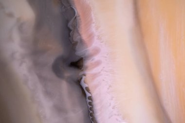 Renkli soyut epoksi reçine resminin makro fotoğrafı. Tasarım kapağı, yıllık rapor, davetiye, broşür, sunum, ambalaj, poster, kartvizit, düğün davetiyesi.